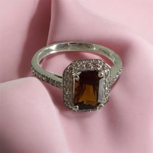 WhatsApp Image 2025-11-16 at 9.08.38 PM (2)